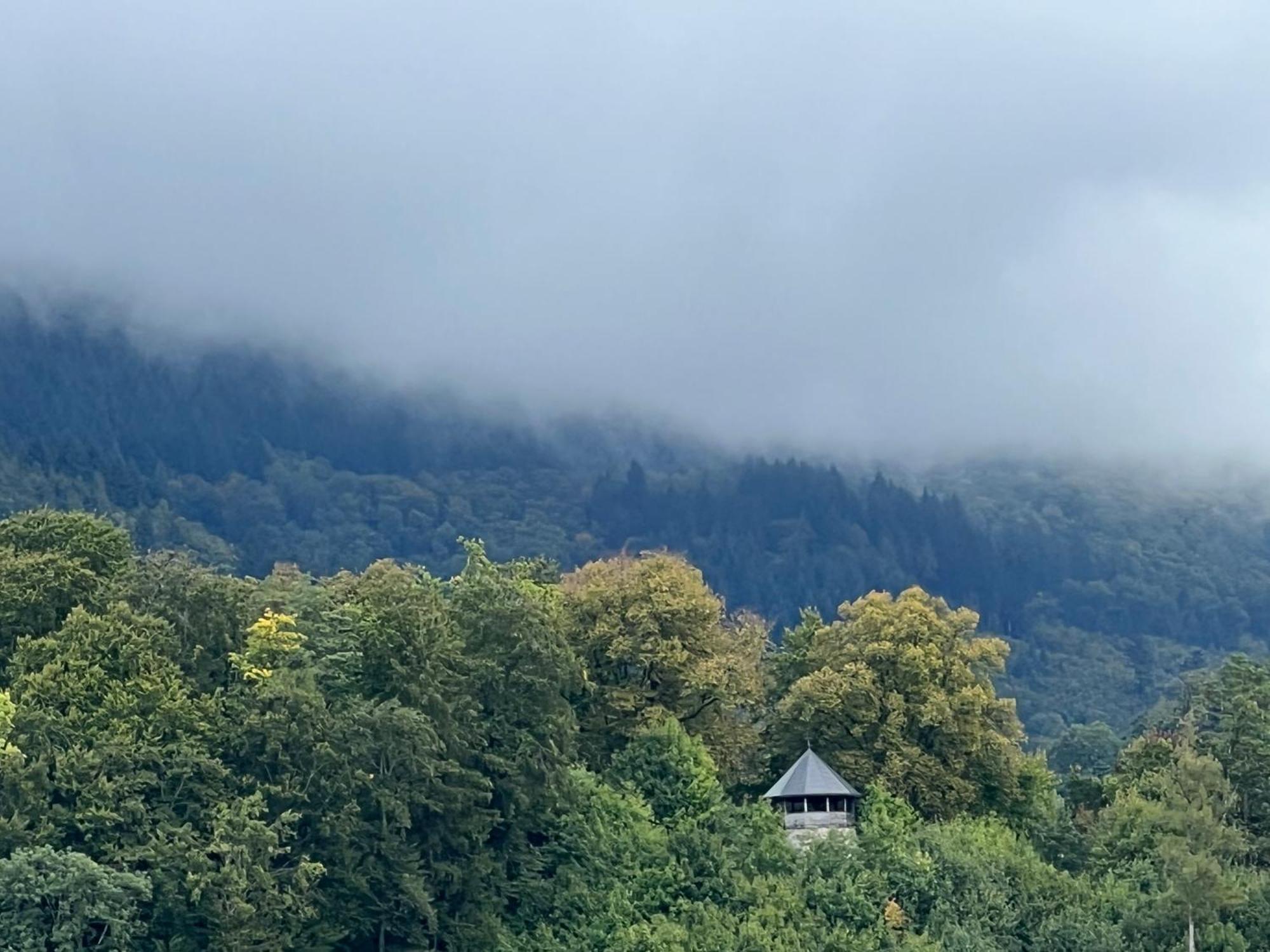 Apartment Schloessleblick Wehr (Baden-Wurttemberg)