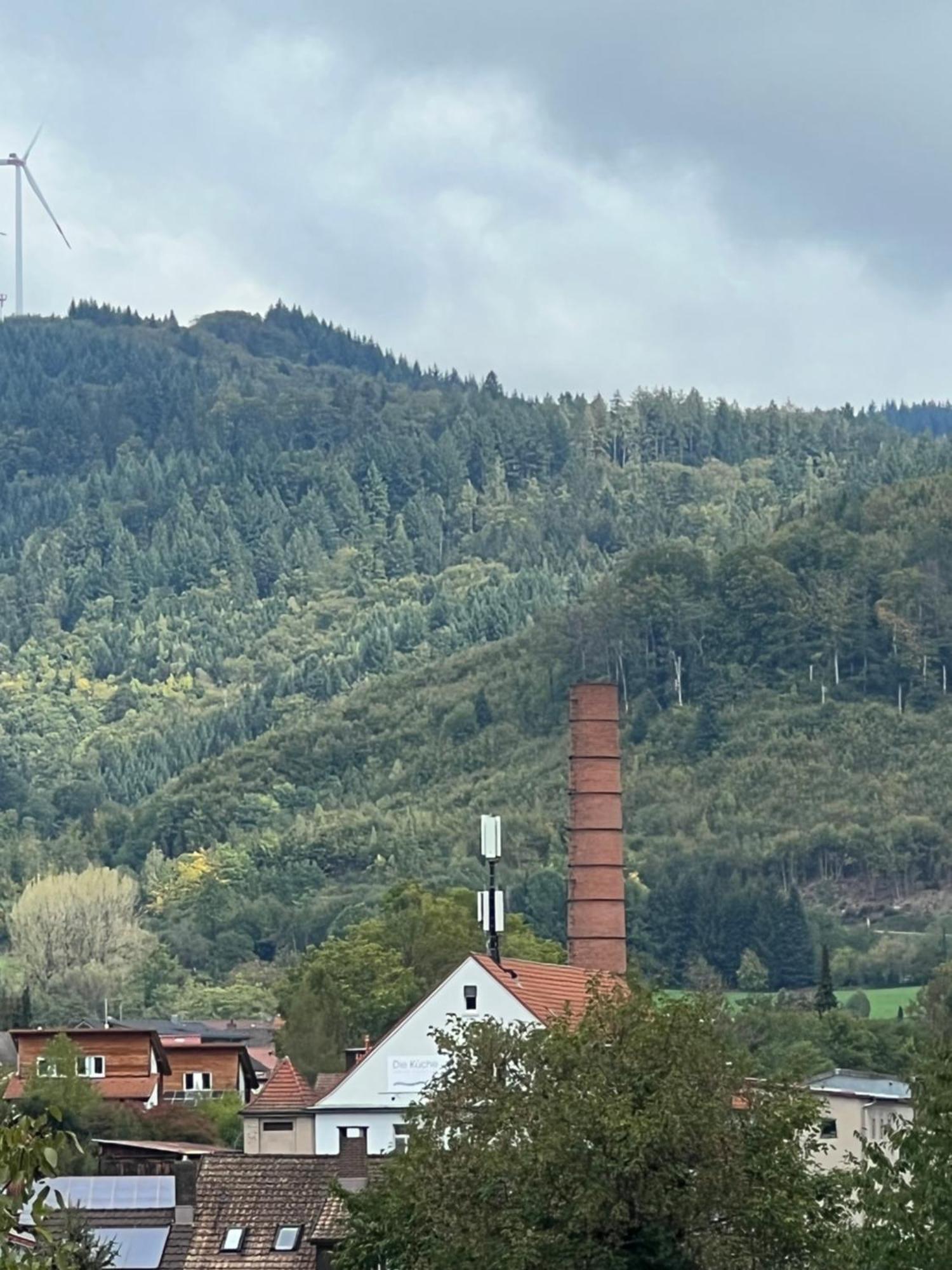 Apartment Schloessleblick