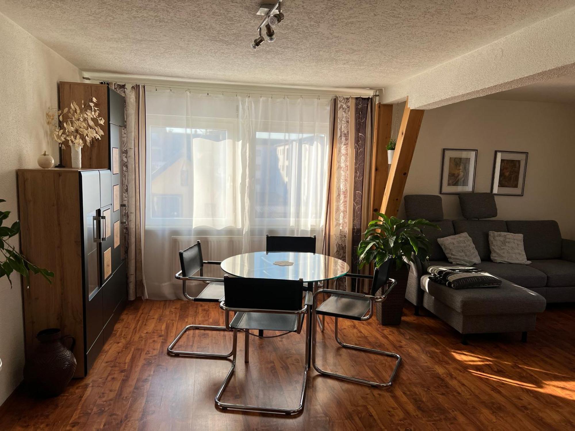 Apartment Schloessleblick Wehr (Baden-Wurttemberg)